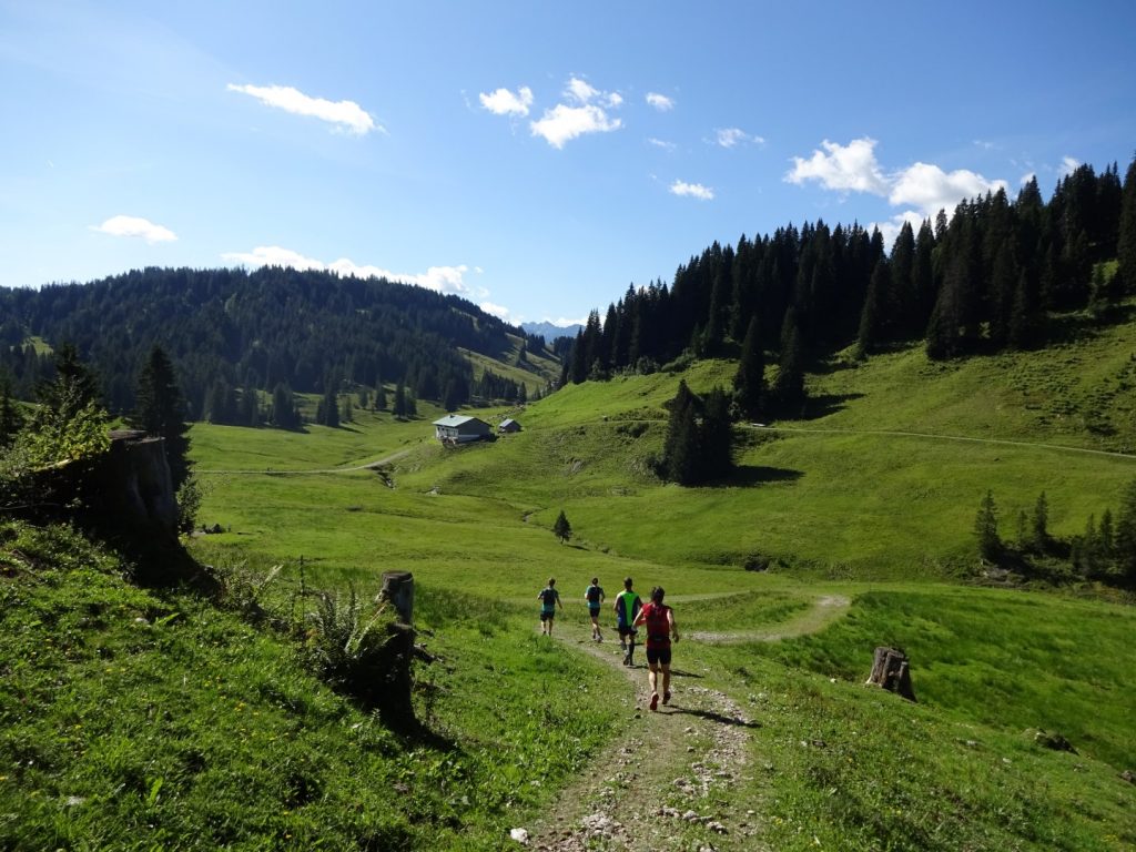 Trail Natur Berge Allgäu Panorama Marathon