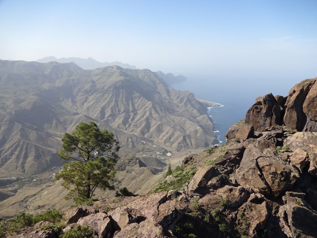 Tamadaba Natural Park Gran Canaria