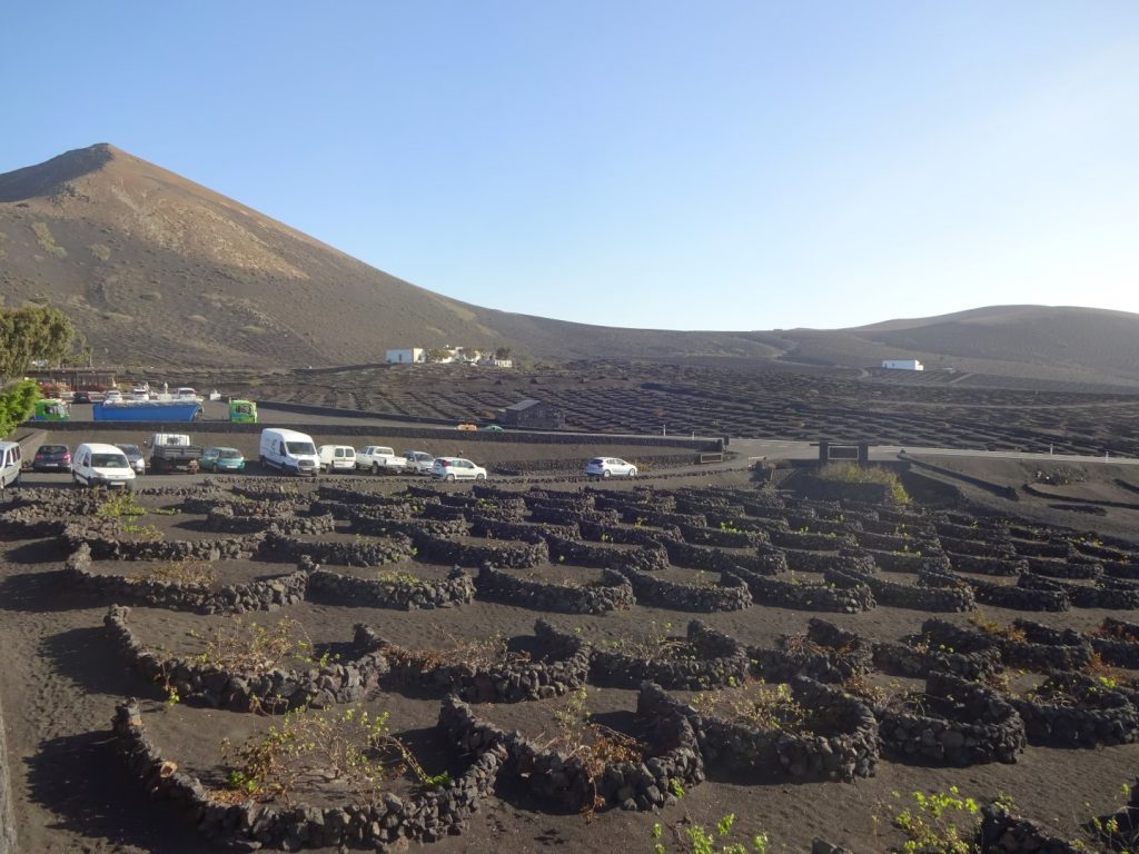 Wein La Geria Lanzarote