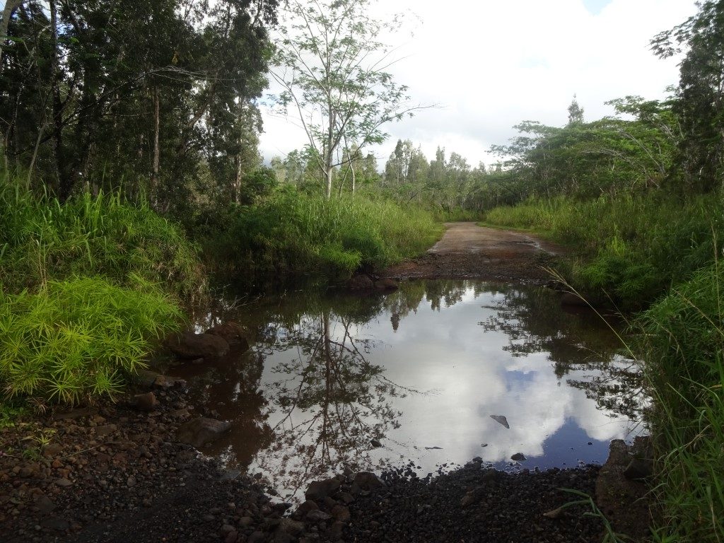 Blue Hole Trail Überschwemmung Kauai Hawaii