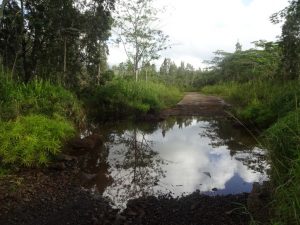 Blue Hole Trail Überschwemmung Kauai Hawaii