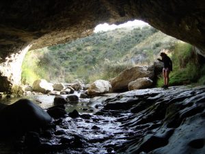 Cave Stream Scenic Reserve Höhle Südinsel Neuseeland