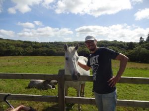 Connemara Pferd National Park Irland