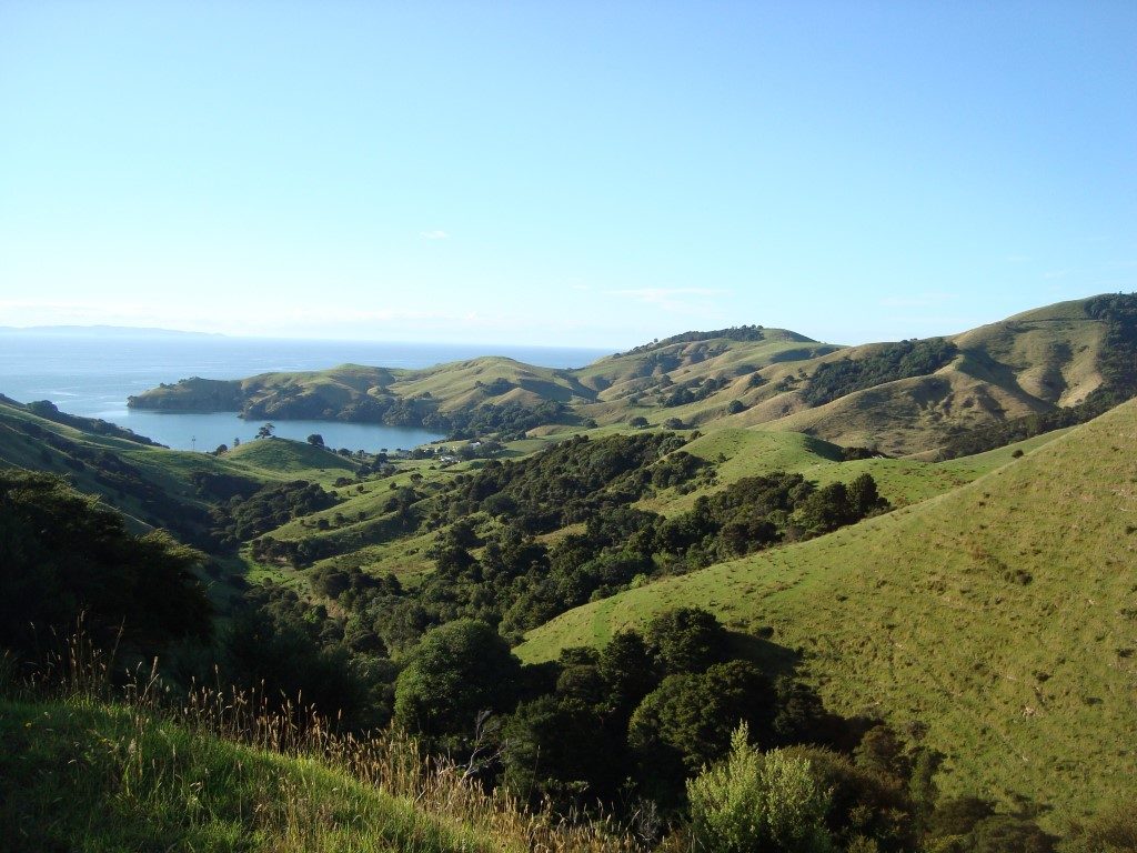 Coromandel Hügel Nordinsel Neuseeland