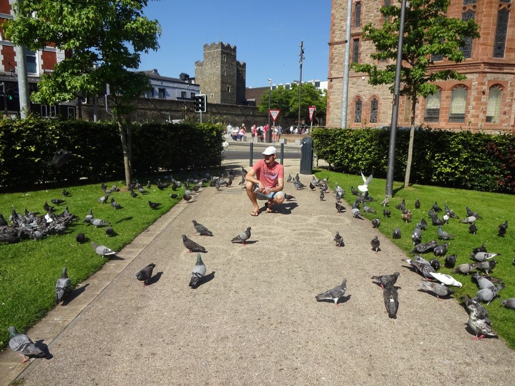 Derry Tauben Park Irland