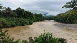 Fluss Natur Jamaika