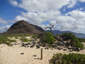 Kaena Point Oahu Hawaii