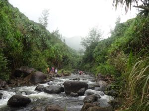 Kalalau Trail Fluss Kauai Hawaii