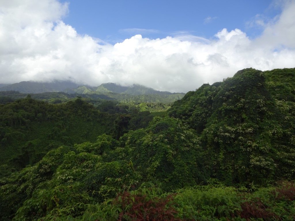 Kuilau Ridge Trail Kauai Hawaii