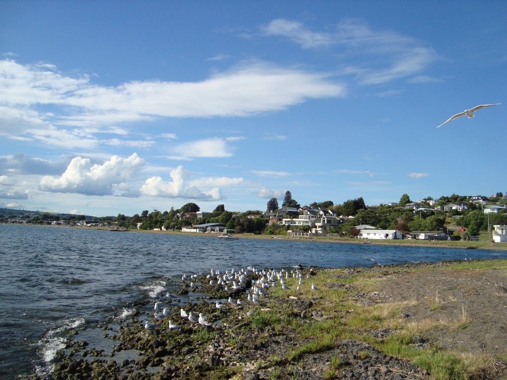 Lake See Taupo Nordinsel Neuseeland