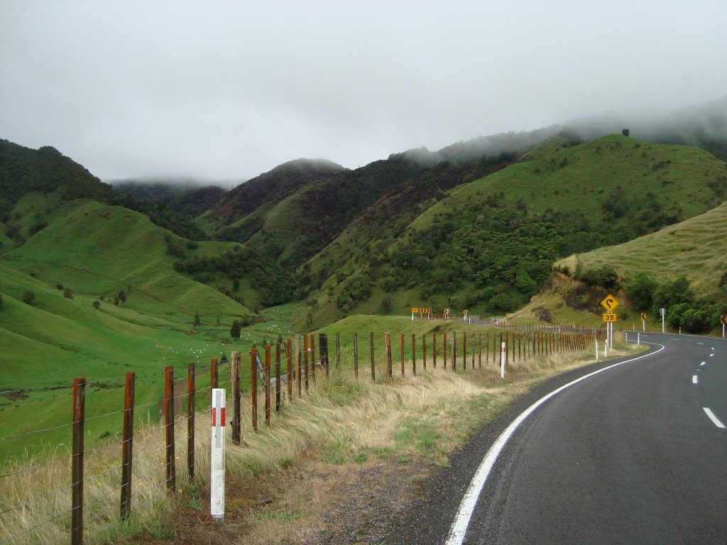 Matawai Schafe Nordinsel Neuseeland