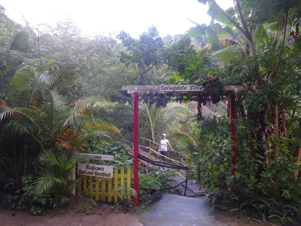 Dschungel Eingang Rafjams Bed and Breakfast Jamaika