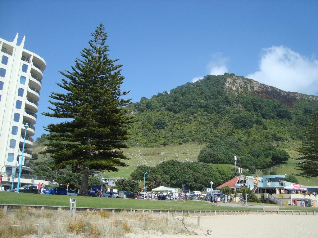 Mount Maunganui Tauranga Nordinsel Neuseeland