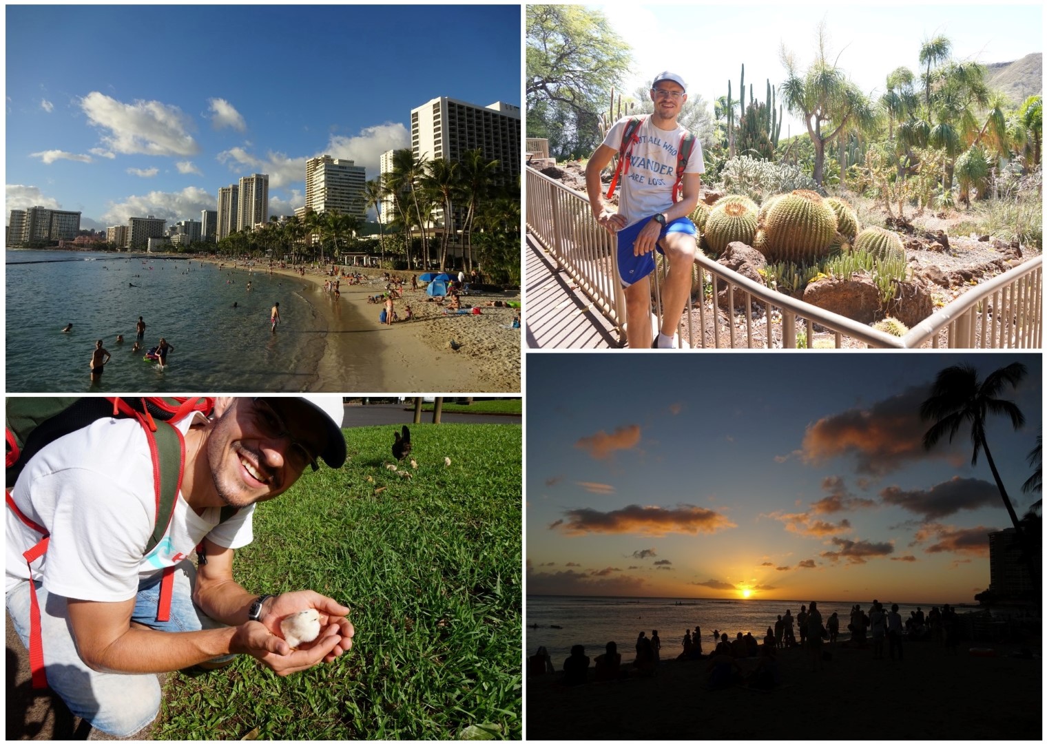 Highlights meiner Rundreise auf Hawaii: Oahu