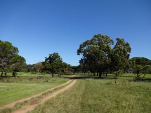 Port Elizabeth Golf Club Trail Südafrika