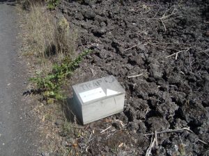 Falle Tiere Raubtiere Eier Rangitoto Nordinsel Neuseeland