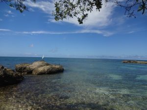 Strand Bucht einsam kostenlos Jamaika