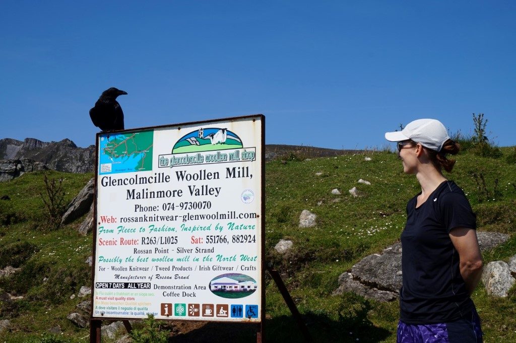 Touristen Rabe Slieve League Irland