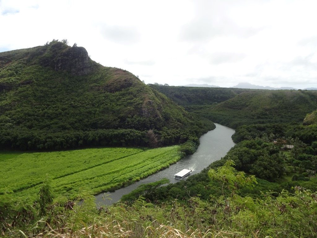 Wailua River Kauai Hawaii