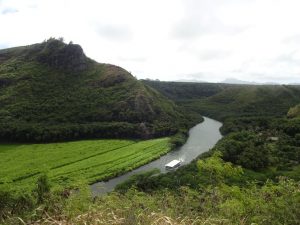 Wailua River Kauai Hawaii