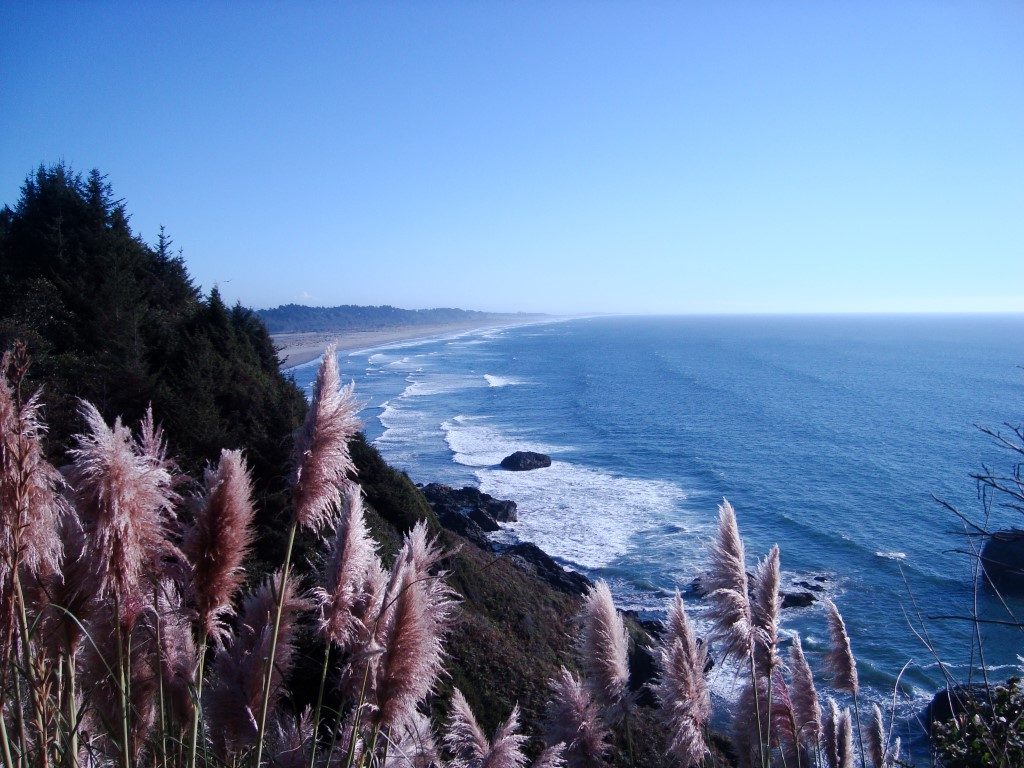 Aussicht Ausblick Hügel Pazifik Westküste USA