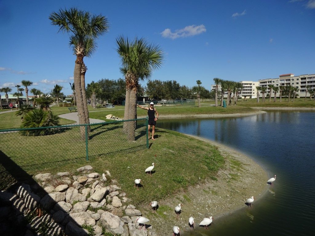 Manatee Sanctuary Park Cape Canaveral Florida