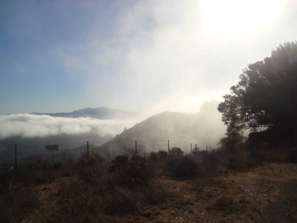 Nebel Hügel Golden Hills Trail Marathon Kalifornien