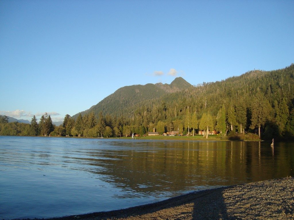 Lake Quinault Olympic National Park Washington