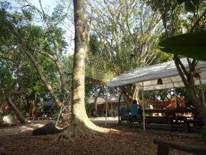 Everglades Hostel Garten Florida City