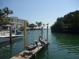 Pelican Cove Windley Key Florida