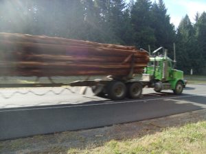 Highway 101 Truck LKW Baumstamm Radfahrer Feind Gefahr gefährlich