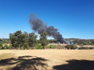 Feuer Wiese Botanischer Graten Johannesburg Südafrika