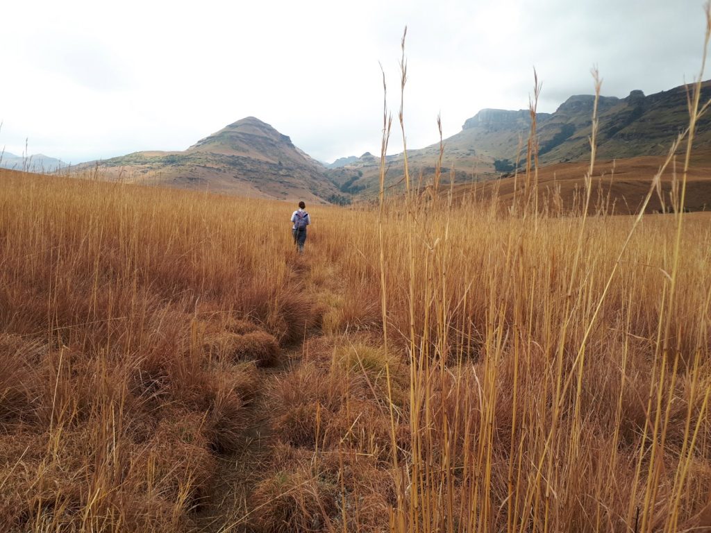 Steppe Cobham Drakensberge Südafrika