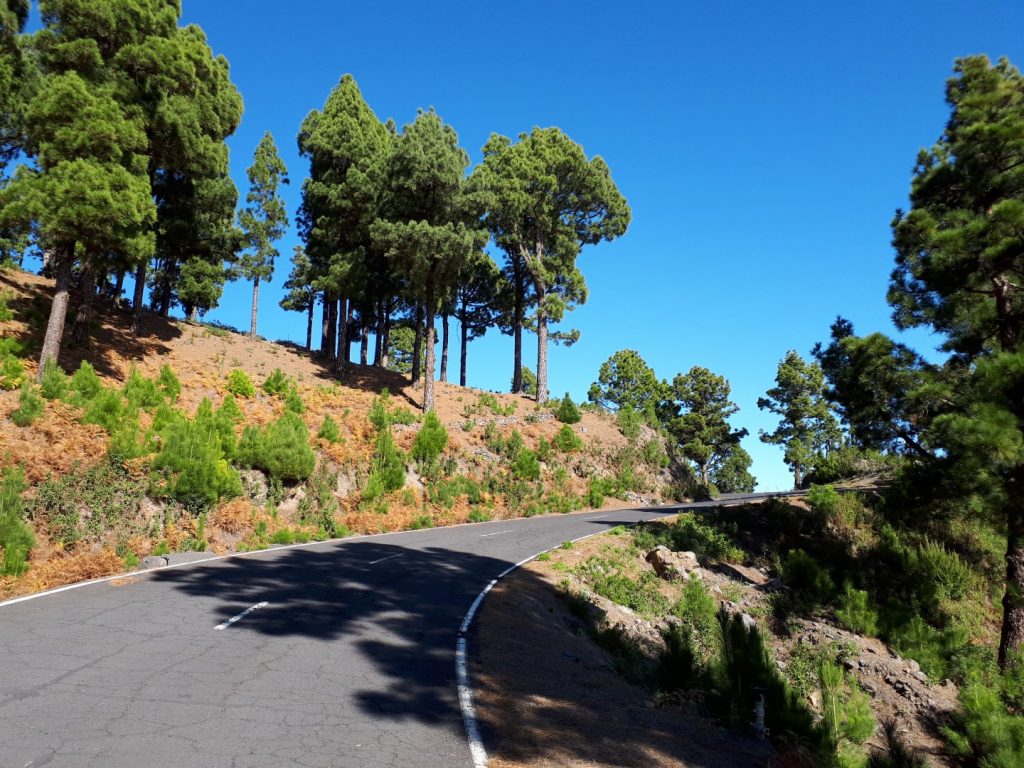 Straße Radfahren La Palma Kanaren