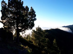 Sonnenaufgang Transvulcania Trail La Palma Kanaren