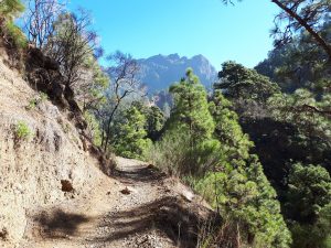 Trail Wanderung Caldera Nationalpark La Palma Kanaren