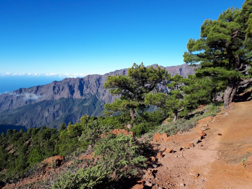 Transvulcania Trail La Palma Kanaren