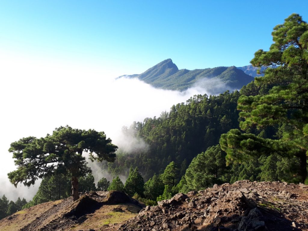 Transvulcania Trail La Palma Kanaren