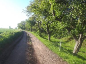 Berka Werra Run Across Germany Deutschlandlauf