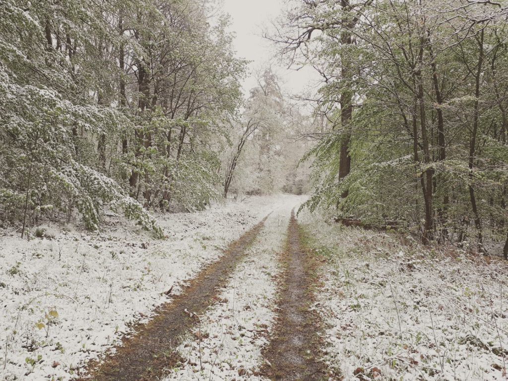 Schnee Rhön Run Across Germany Deutschlandlauf