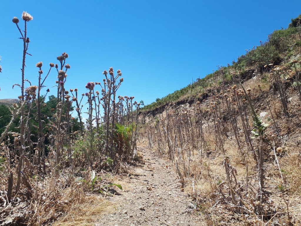 Riserva Naturale Fiumedinisi Sizilien Italien