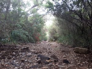 Trail Hinterland Cefalu Sizilien Italien