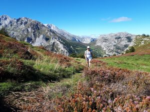 Blumen Trail Picos de Europa Nationalpark