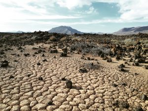 Wüste Naturpark Cuchillos Vigan Fuerteventura Kanaren