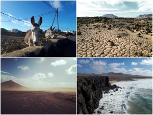 Wintertraining Lanzarote Fuerteventura Kanaren