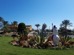 Winter Malikia Resort Marsa Alam Ägypten