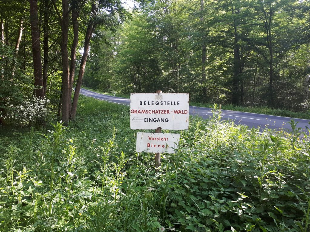 Gramschatzer Wald Vorsicht Bienen