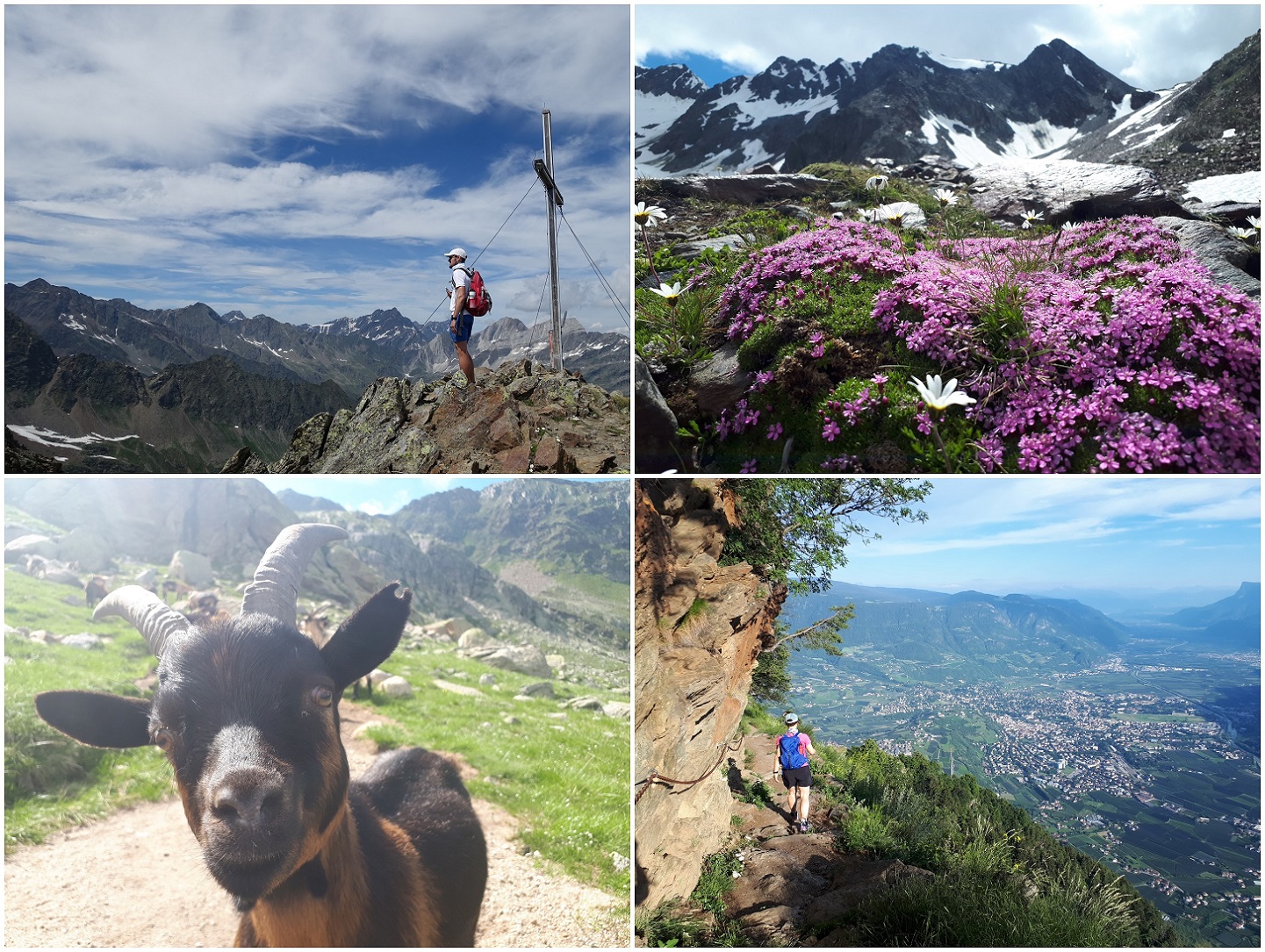 Eine Woche Bergwandern: Stubaital und Südtirol