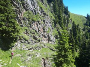 Zielspitz Texelgruppe Südtirol Italien Alpen