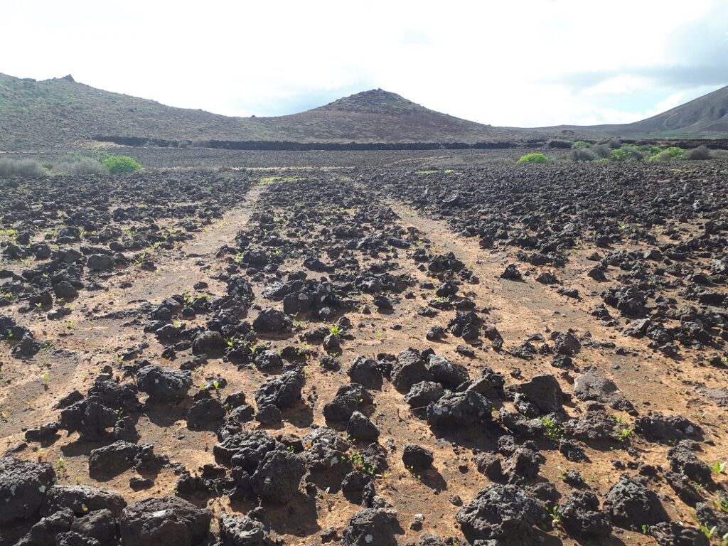 Lava Trail Lanzarote Kanaren